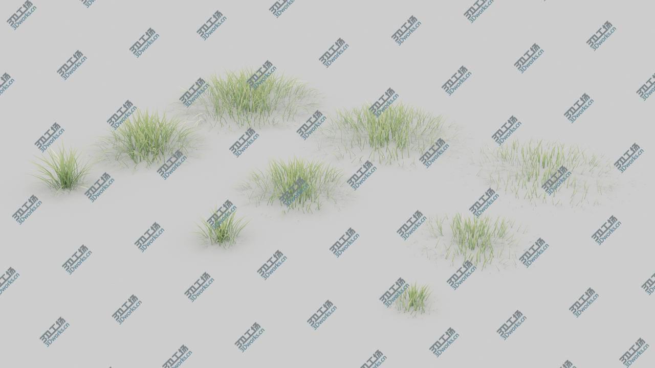 images/goods_img/20210319/3D 20 Summer Ground Plants/4.jpg